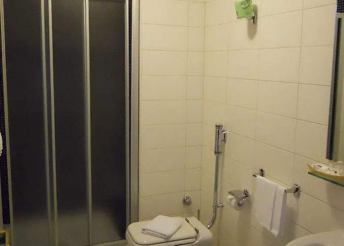 Executive Business Hotel 3*