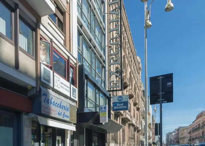 Executive Business מלון