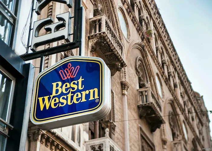 Hotel Executive Business